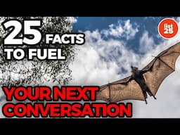 25 Interesting Facts to Fuel Your Next Conversation