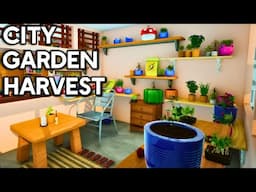 Making Tea! | City Garden Harvest | Ep 2