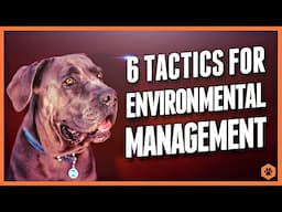 Conquer Canine Challenges: 6 Dog Training Strategies for Environmental Management