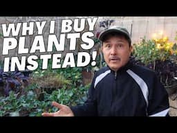 Plant Starts vs. Seeds: My Controversial Take! + More Gardening Q&A