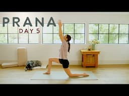 Prana - Day 5