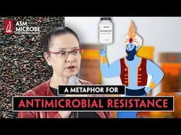 The Lamp and the Genie – A Metaphor for Antimicrobial Resistance