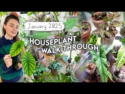 2025 Houseplant Collection Walk-Through 🪴 January Plant Updates!