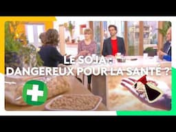 Le soja : dangereux pour la santé et pour l'environnement ?