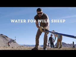 Water For Wild Sheep – Muddy 7