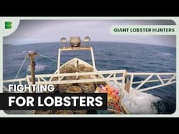 A $100k Lobster Quest - Giant Lobster Hunters - Documentary