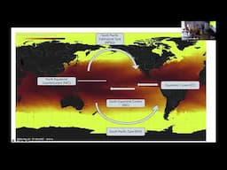 Fating Carbon in the South Pacific Ocean: