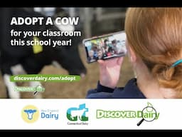 Adopt a Calf for Your Classroom | Adopt a Cow Overview