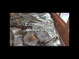 Eco Dye Batches | Quick Peek #ecodye #dyedfabrics #dyedpaper