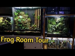 FROG ROOM TOUR Dec 2024 - All of my Vivariums, Poison Dart Frogs, Tarantulas & Geckos