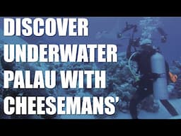 Palau Diving Expedition: Underwater Wonders Await!