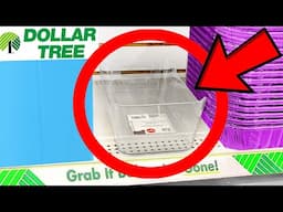 10 Things You SHOULD Be Buying at Dollar Tree in February 2025