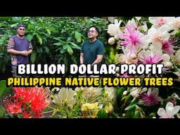 Billion Dollar Profit Philippine native Flower Trees