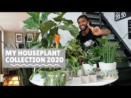 HOUSEPLANT TOUR Summer 2020 (Plant + Self-Care)