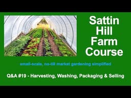 Sattin Hill Farm Course Q&A #19 - Harvesting, Washing, Packaging & Selling