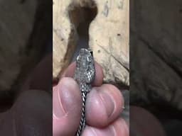 Cobra bracelet