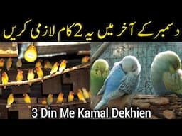 December Ke Akhir Me Ye 2 Kam Karien Or Kamal Dekhien / 2 Most IMP Winter Care Tips