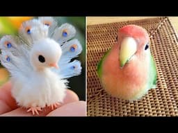 Smart And Funny Parrots Parrot Talking Videos Compilation (2024) - Cute Birds #71