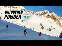 Powder PARTY SHRED with Snowboard Pro Camp - Where to score fresh at Snowbird