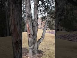 Beautiful Glen Eyrie Castle