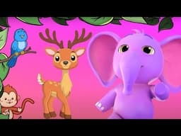 Animals Everybody Love Them Song + More Learning Videos & Cartoon for Kids