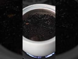 Elderberry Syrup