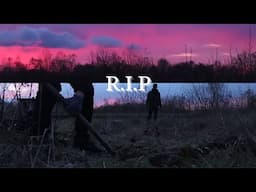 R.I.P THIS WILL MAKE YOU CRY - Shiey & Poison SAD MOMENT