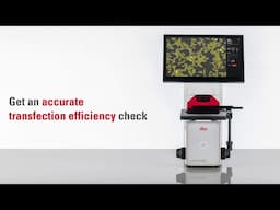 Measure transfection efficiency with the Mateo FL Digital Fluorescence Microscope