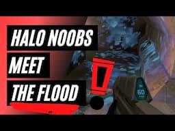 HALO noobs meet the flood FOR THE FIRST TIME - compilation