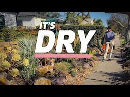 Culver City Maintenance | Tips for Dry Santa Ana Winds