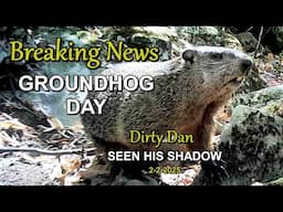 Breaking News Dirty Dan has seen his Shadow on Groundhog Day #short