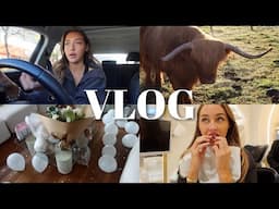 VLOG | Getting Invisalign, My Birthday, Work with One Mile