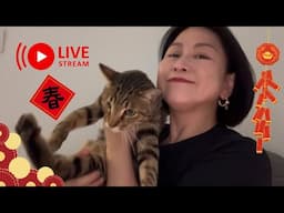 恭喜發財大吉大利🧧初四🪭Live🧨 吹下水