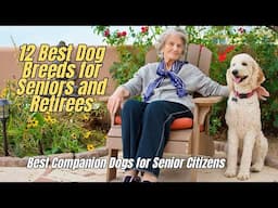 🔥12 Best Dog Breeds for Seniors and Retirees 🐶 Best Companion Dogs for Senior Citizens 🦮