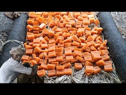 Traditional Jaggery Making Process | Jaggery Making from Sugar Cane.