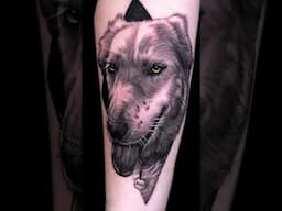 It's a dog eat dog word 🐺 #InkMaster