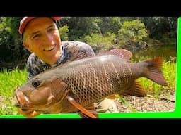 Best EVER jungle overnight fishing trip. Catch n cook. EP.597