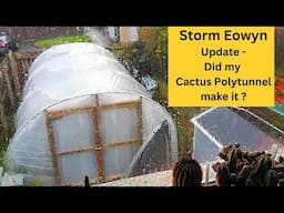 Storm Eowyn Update - Did my Cactus Polytunnel make it ? #cacti #cactus