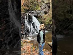 Fairy Glen Waterfalls | Rosemarkie, Scotland