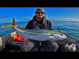 17kg Wellington Winter Kingfish (Screaming reel!)