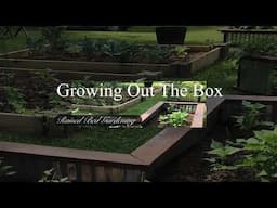 Growing Out The Box Live Stream