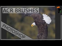 Using RAW Adjustment Brushes in Photoshop