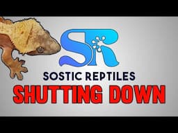 Shutting Down My Reptile Business Sostic Reptiles