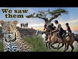 Epic Horse Safari Adventure