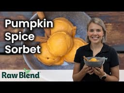 How to make Sorbet (Pumpkin Spice Sorbet Recipe) in a Vitamix Blender! | Recipe Video