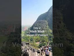 Day 2 Vegan in Vietnam Tour #vegantravel