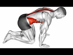 Do This Muscle Activation Routine for The Upper and Lower Body