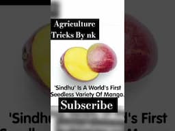 Mango Varieties Agriculture knowledge #mango #agriculturesupervisor  #Agriculture_exam #horticulture