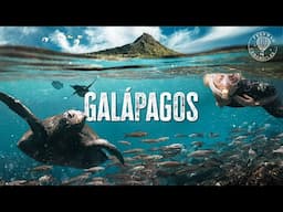 The Most Mind-Blowing Islands on Earth | Galápagos