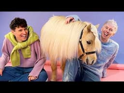 Dan and Phil and A Tiny Horse